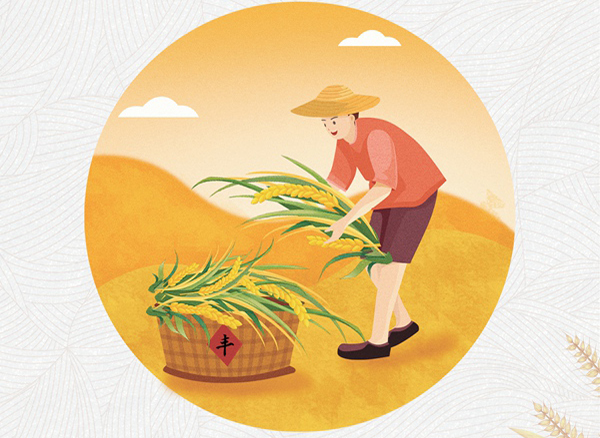 新版《黨政機關(guān)厲行節約反對浪費條例》出臺